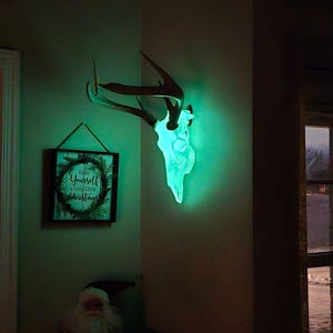 deer skull European mount (glow in the dark skull for antlers)