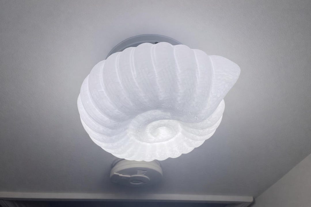 Nautilus Seashell Ceiling Light Cover - Etsy