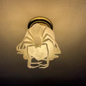 Three Spiders Ceiling Light Cover