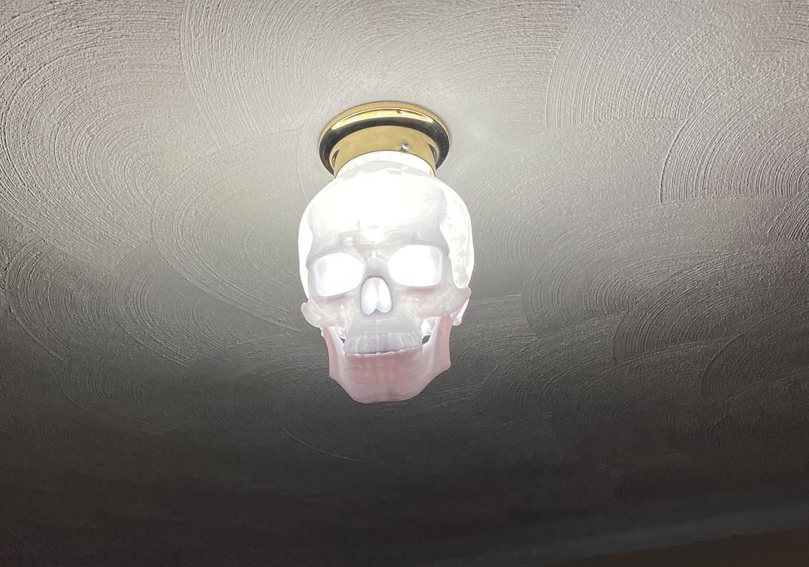 Human Skull Light - Etsy