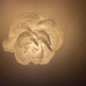 May include: A white, flower-shaped light fixture with a textured surface. The light is on and illuminating the surrounding area.