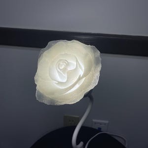 May include: A white rose-shaped lamp with a white stem. The lamp is lit and the light shines through the rose petals.