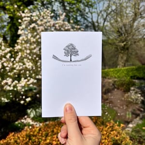 Je suis d'accord avec vous - x1 carte porte-bonheur Sycamore Gap (6 x 4 pouces)