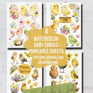 Printable BABY SPRING CHICKS Clip Art Journaling Pages, Spring Chicks Aquarelle Download, Digital Paper, Card making, Ephemera Crafting