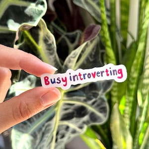 Introvert citaat enkele sticker / gestanst glanzend / esthetisch eigenzinnig geestelijke gezondheid sticker voor waterflessen laptops iPads Kindles-dagboeken