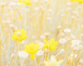 STAMPA DI FIORI DEL DESERTO Stampa di grandi dimensioni di fiori selvatici dell'Arizona Immagine della natura Fiori gialli Fiori selvatici in bianco e nero