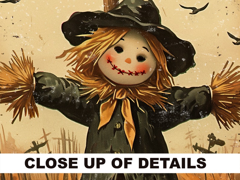 May include: A vintage-style illustration of a smiling scarecrow with a straw head and arms, wearing a black hat and coat. The scarecrow has stitched red lips and rosy cheeks. The text "CLOSE UP OF DETAILS" is at the bottom.