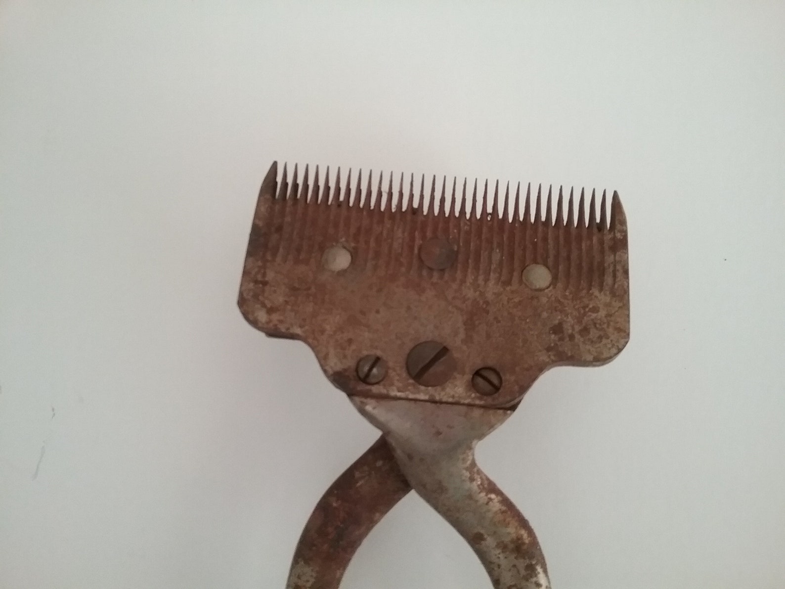 Antique Horse Hair Clippers Shears Hand Held Farmhouse Rustic Etsy