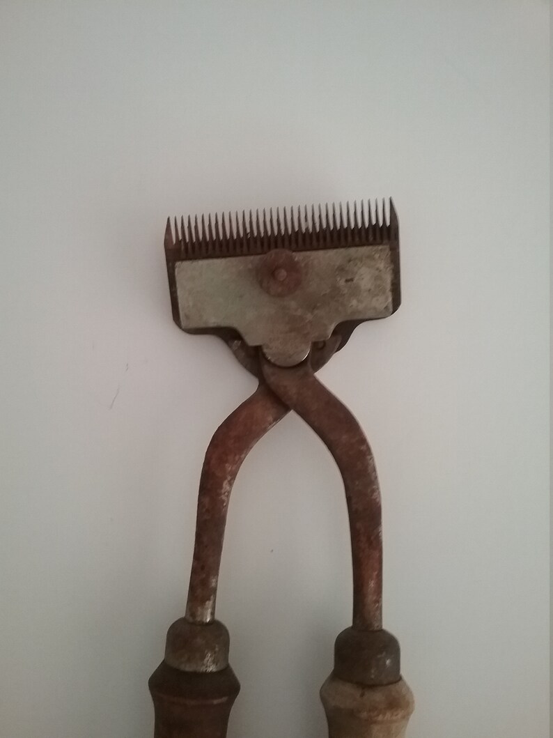 Antique Horse Hair Clippers Shears Hand Held Farmhouse Rustic Etsy