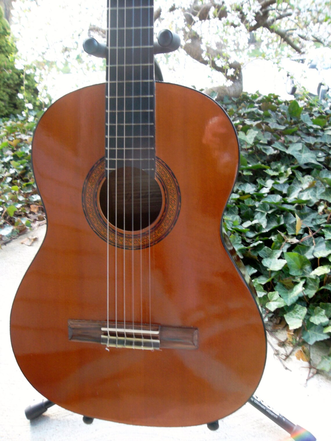 Vintage Classical G. J. Gould & Sons Guitars RESERVED FOR BRYN Etsy