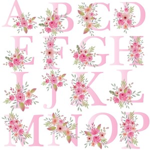 May include: Pink floral alphabet letters A through P. Each letter is decorated with a bouquet of pink and peach flowers and green leaves. The letters are in a soft, light pink color.