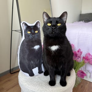 Pet Shaped Cushion, 3D Pet Photo Pillow, Custom Pet Pillow Personalized, Large Custom Pet Pillow, Puppy Kitten Cat Gift, Cat Mom Gift