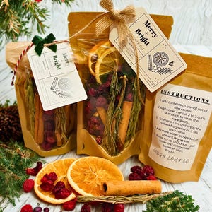 Merry and Bright Simmer Pot - Holiday Stovetop Potpourri - Dried Orange, Cranberry, Cinnamon, Rosemary & Clove - Gift or Stocking Stuffer