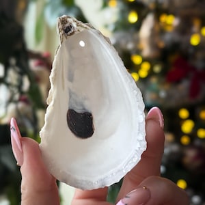 Pre-drilled oyster shells for ornament/craft making, choose size, cups/flats/mixed, bleached and dried, *free shipping*