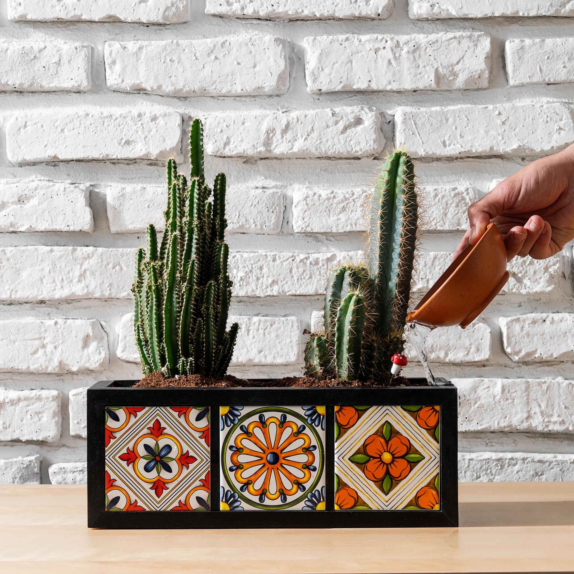 Mexican planter - Etsy 日本