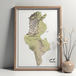 Mapa de Tunísia Hillshade | Mapa de relevo da Tunísia | Mapa topográfico de alta resolução | Modelo Digital de Elevação | Download instantâneo do mapa do terreno