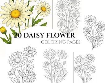 Pagine da colorare con margherite: illustrazioni in scala di grigi (file PDF stampabile)