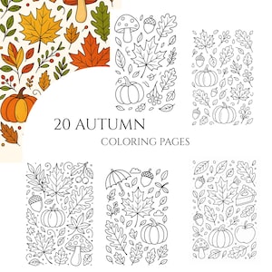 May include: A set of 20 autumn-themed coloring pages. The designs include detailed line drawings of pumpkins, leaves, acorns, and mushrooms. The text "20 AUTUMN COLORING PAGES" is centrally positioned on the image.