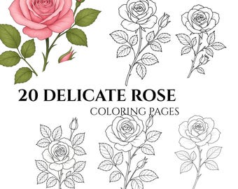 Kleurplaten roos: delicate bloemmotieven (afdrukbare pdf)