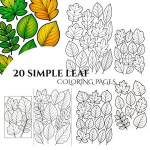 20 Simple Leaf Coloring Pages - Adults And Kids Coloring Book, Greyscale, Digital Coloring Sheets, Instant Download, Printable PDF File.