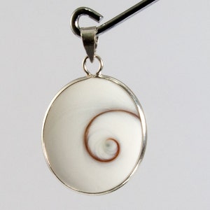 Big Oval Shiva Eye Shell with 925 Sterling Silver Bail Pendant