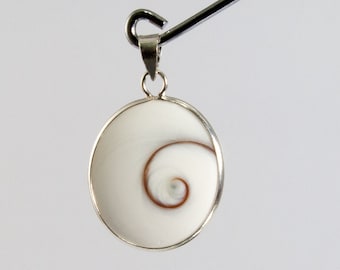 Big Oval Shiva Eye Shell with 925 Sterling Silver Bail Pendant