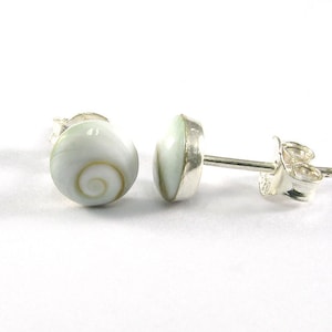 6 mm. Natural Shiva Eye Shell with 925 Sterling Silver Post Stud Earrings