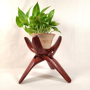 May include: A wooden plant stand with a dark reddish-brown finish. The stand has a unique design with four curved legs and leaf-shaped accents. A potted plant with green and yellow leaves sits on top, creating a natural aesthetic.