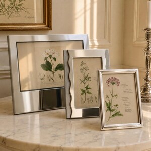 May include: Three silver-toned metal picture frames of varying sizes, each containing a botanical print. The frames feature smooth, reflective surfaces and hold illustrations of flowers and plants on cream-colored paper backgrounds.