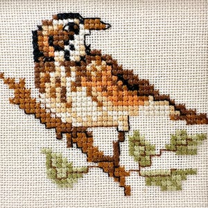 May include: A cross-stitch embroidery featuring a small brown and white bird perched on a brown branch with light green leaves. The bird has black markings on its head and wings, and the entire design is stitched onto a cream-colored fabric.