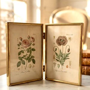 Könnte beinhalten: Ein klappbarer Doppelbilderrahmen mit goldfarbenem Metallrahmen, der zwei botanische Drucke enthält. Der linke Druck zeigt eine rosa Rose mit der Aufschrift Rosa Gallica, der rechte einen braunen Mohn mit der Aufschrift Papaver Orientale auf cremefarbenem Papier.