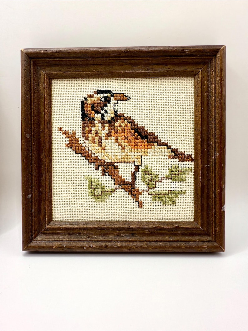 May include: A square cross-stitch embroidery featuring a brown and white bird perched on a branch with green leaves, set within a dark brown wooden frame. The bird has detailed plumage in shades of tan, brown, and black against a cream fabric.