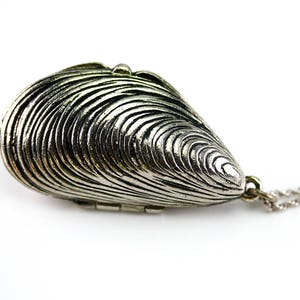 Mussel Shell Locket, Nautical Antique Pendant, Long Shell Necklace, Large Silver Locket, Long Silver Chain, Recycled Jewelry image 1