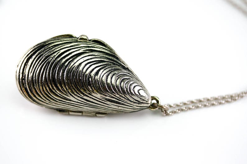 Mussel Shell Locket, Nautical Antique Pendant, Long Shell Necklace, Large Silver Locket, Long Silver Chain, Recycled Jewelry image 1