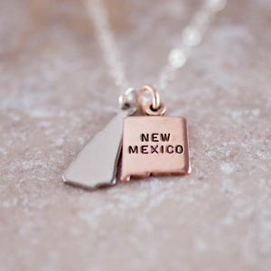 Multiple States Necklace, Friendship Jewelry, 2 States on 1 Chain Friendship Necklace in Rose, Gold or Silver, Moving Away Necklace image 6
