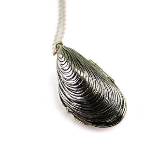 Mussel Shell Locket, Nautical Antique Pendant, Long Shell Necklace, Large Silver Locket, Long Silver Chain, Recycled Jewelry image 6