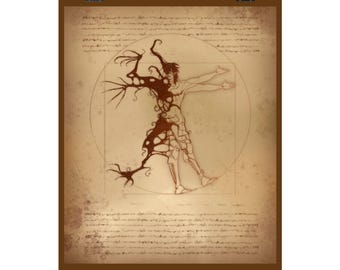 Anatomie eines Sterns Poster (Matt)