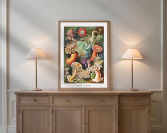 Zeeanemoon Art Print vintage oceaan illustratie muur kunst Ernst Haeckel Marine Life print natuur galerij decor botanische stijl