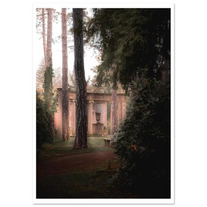 Poster in carta opaca classica Forest Monument