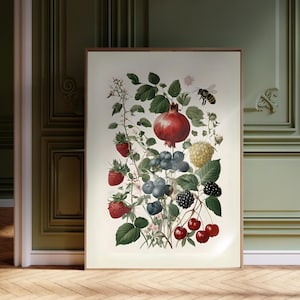 Festive Botanical Wall Art Print, Fruity Home Decor, Nature Lover Gift, Vintage Posters for Kitchen, Farmhouse Aesthetic