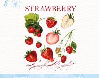 Strawberry Local Market Png, Retro Strawberry Png, National Strawberry Day Png, Vintage Strawberry Png, Berry Fruits Png, ST21