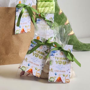 May include: Clear plastic favor bags filled with marshmallows, each tied with a green ribbon and a rectangular tag featuring dinosaur illustrations, balloons, and the text "THANK YOU FOR A DINO-MITE TIME! LOVE, OLIVER" in colorful lettering.