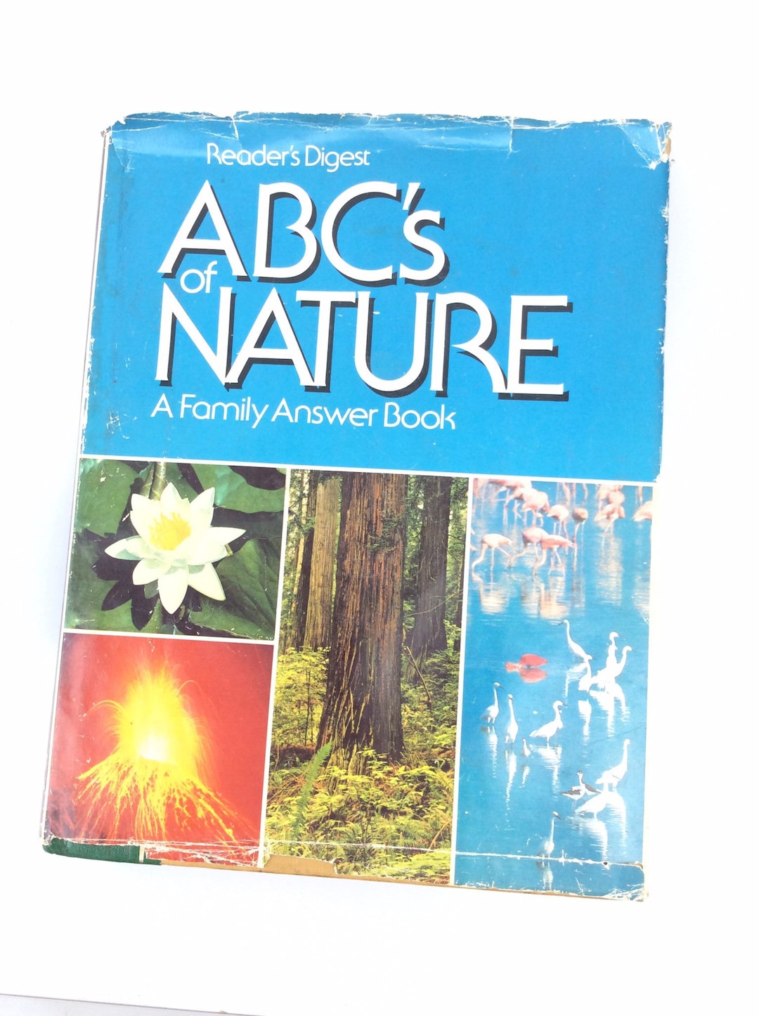 Nature Book Answer Book Family Quiz Table Book Educational History Why ...