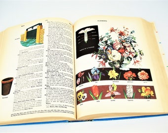 Off　Course　1969-1989　～Digital　dictionary Off Course 1969-1989 ～Digital dictionary～ [DVD] | eBay