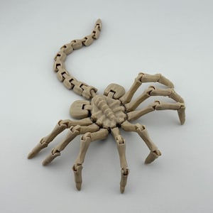 May include: A beige articulated creature figure with a central body, eight segmented legs, and a long, curved, segmented tail. The object features a complex, multi-jointed design that allows for movement, rendered in a solid, matte, light tan plastic material.
