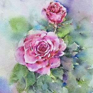 Pink Roses Original Watercolor