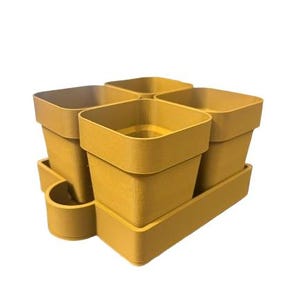 4er Pack Starter Set mit Gießschale.