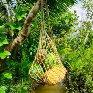 Könnte beinhalten: Eine gelbe Netztasche mit frischem Obst, darunter eine Ananas und grüne Melonen, hängt an einem Ast. Die Tasche hängt über einem kleinen Bach, umgeben von üppigem grünem Laub.