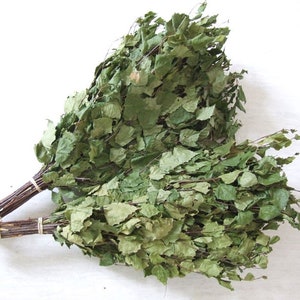 4 Piece Russian Sauna Bath Brooms Set Birch Leaves Whisks for Spa Venik for Banya 4 Piece Russian Sauna Bath Brooms Set Birch Leaves Whisks for Spa Venik for Banya