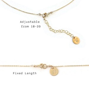 May include: Gold chain necklace with a small round charm. The chain is adjustable from 18 to 20 inches. The charm has a zodiac symbol on it. The necklace is also available in a fixed length.